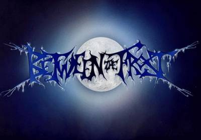 logo Between The Frost